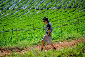 BIB: 
                            <button type="button" onclick="openModal(19164465)" class="btn btn-primary btn-sm float-right btn-popup" data-toggle="modal" data-target=".modal-high-quality">
                        <i class="fas fa-shopping-cart"></i> Add to Cart
                    </button>
                                            <button type="button" onclick="isThisMe(19164465, true)" class="btn btn-success btn-sm float-right btn-popup btn-isme hidden" data-toggle="tooltip" data-placement="bottom" title="นี่คือรูปของคุณใช่ไหม คลิกที่นี่เพื่อเอาเข้าอัลบั้ม">
                        <i class="fas fa-plus"></i> Add to album
                    </button>
                    <button type="button" onclick="isThisMe(19164465, false)" class="btn btn-warning btn-sm float-right btn-popup btn-isnotme hidden">
                        <i class="fas fa-ban"></i> Remove from album
                    </button>